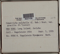 Image Associated With the Occurence
